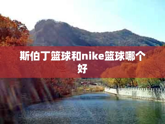 斯伯丁篮球和nike篮球哪个好