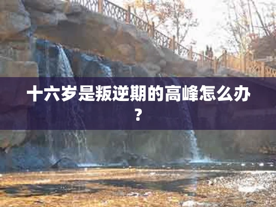 十六岁是叛逆期的高峰怎么办?