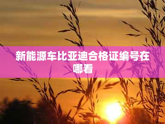新能源车比亚迪合格证编号在哪看