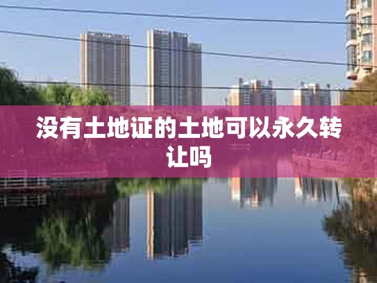 没有土地证的土地可以永久转让吗