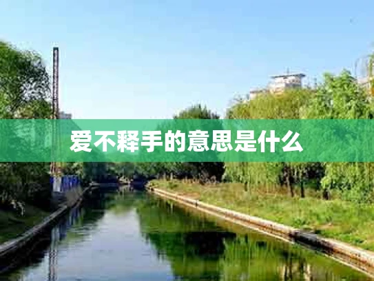 爱不释手的意思是什么