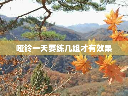 哑铃一天要练几组才有效果