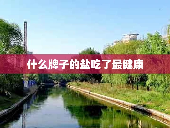 什么牌子的盐吃了最健康