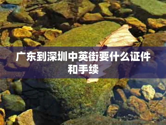 广东到深圳中英街要什么证件和手续