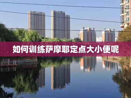 如何训练萨摩耶定点大小便呢