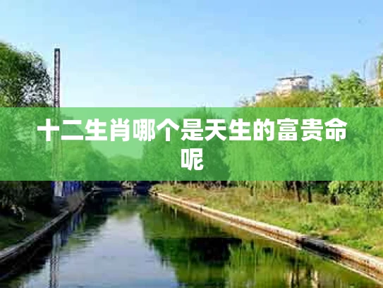 十二生肖哪个是天生的富贵命呢