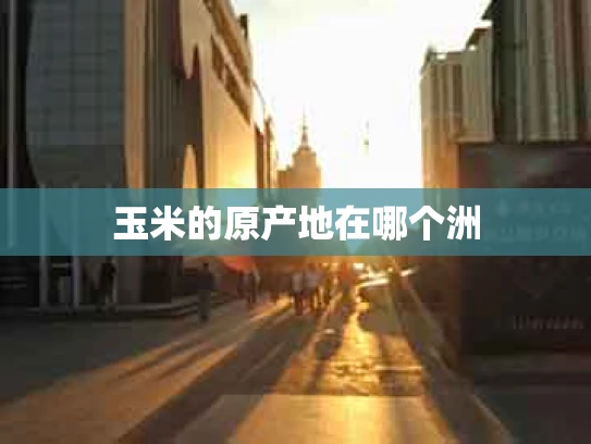 玉米的原产地在哪个洲