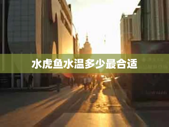 水虎鱼水温多少最合适
