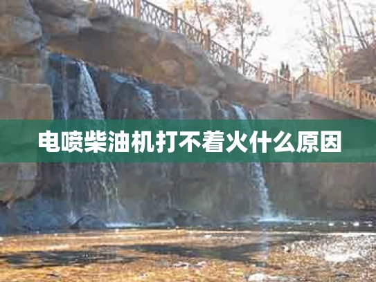电喷柴油机打不着火什么原因