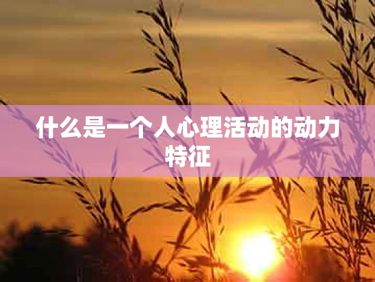 什么是一个人心理活动的动力特征