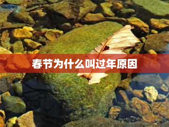 春节为什么叫过年原因