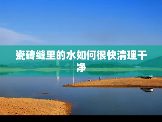 瓷砖缝里的水如何很快清理干净