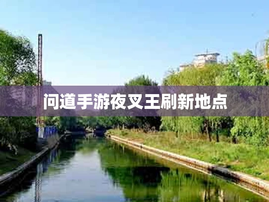 问道手游夜叉王刷新地点