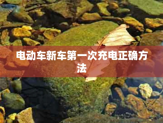 电动车新车第一次充电正确方法