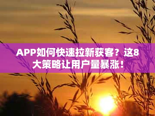 APP如何快速拉新获客？这8大策略让用户量暴涨！