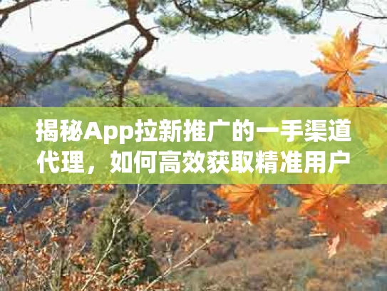 揭秘App拉新推广的一手渠道代理，如何高效获取精准用户？