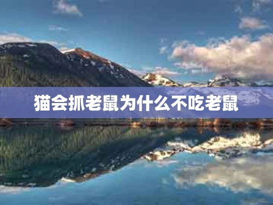 猫会抓老鼠为什么不吃老鼠