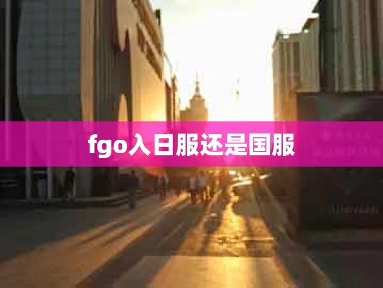 fgo入日服还是国服