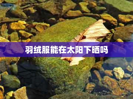 羽绒服能在太阳下晒吗