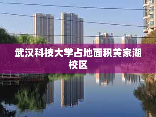 武汉科技大学占地面积黄家湖校区