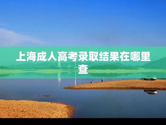 上海成人高考录取结果在哪里查