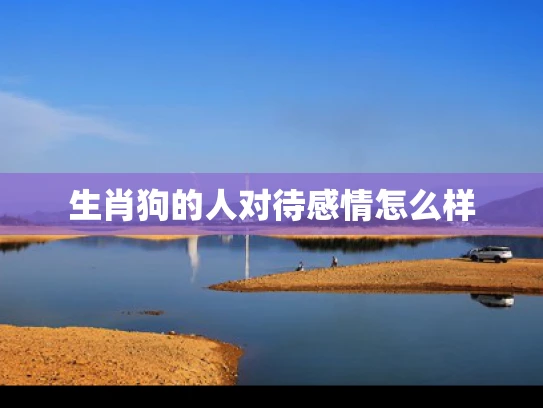 生肖狗的人对待感情怎么样