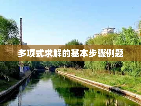 多项式求解的基本步骤例题