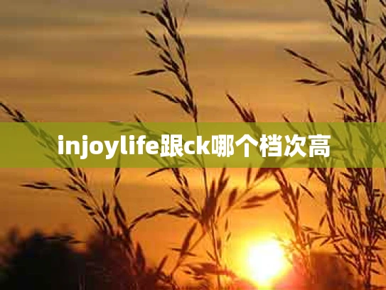 injoylife跟ck哪个档次高