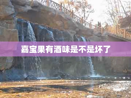 嘉宝果有酒味是不是坏了