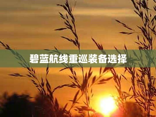 碧蓝航线重巡装备选择