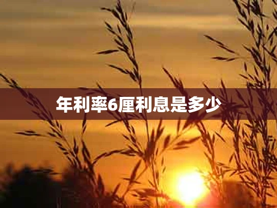 年利率6厘利息是多少