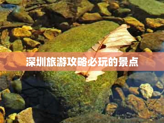 深圳旅游攻略必玩的景点