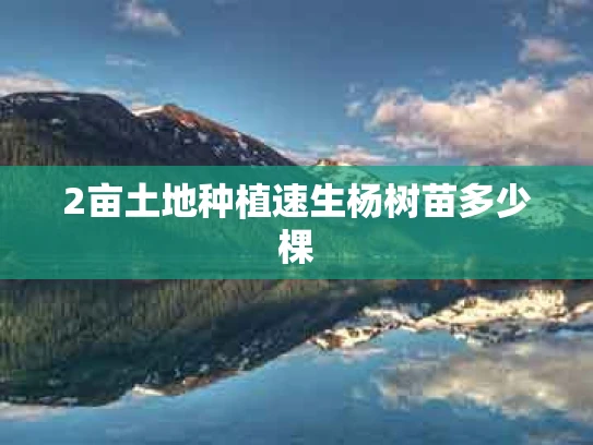 2亩土地种植速生杨树苗多少棵