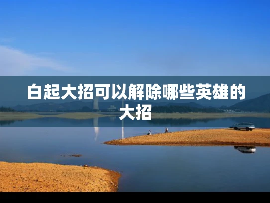 白起大招可以解除哪些英雄的大招