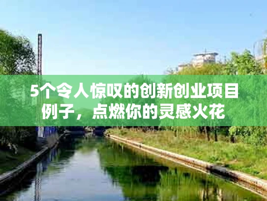 5个令人惊叹的创新创业项目例子，点燃你的灵感火花