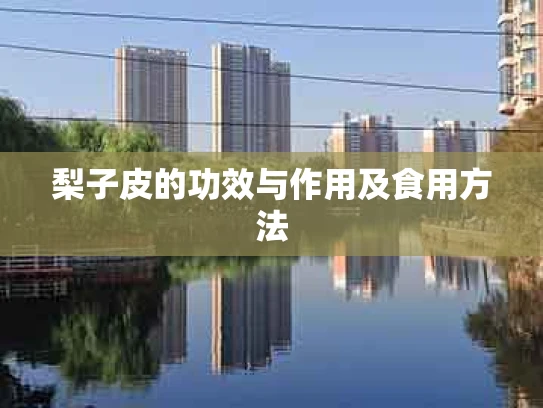 梨子皮的功效与作用及食用方法