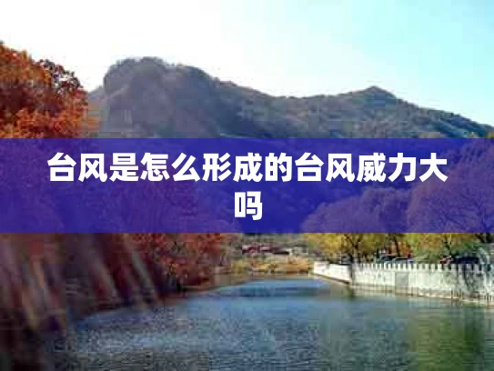 台风是怎么形成的台风威力大吗