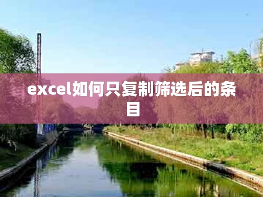 excel如何只复制筛选后的条目