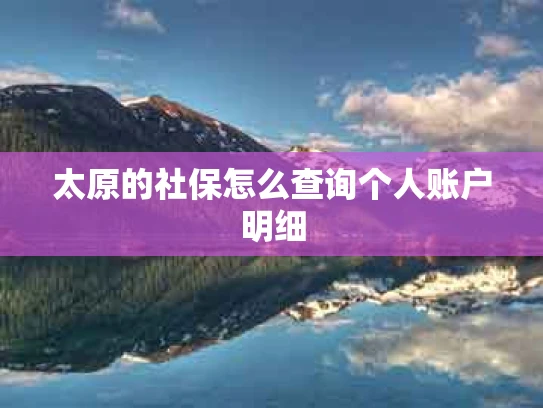 太原的社保怎么查询个人账户明细