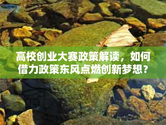 高校创业大赛政策解读，如何借力政策东风点燃创新梦想？