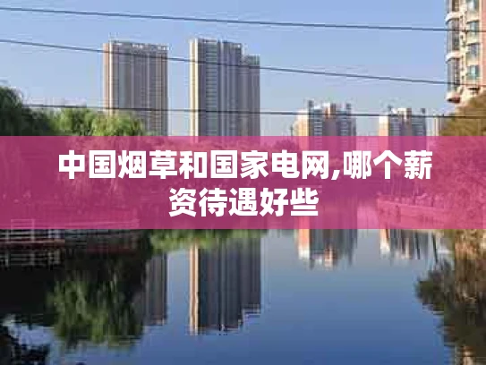 中国烟草和国家电网,哪个薪资待遇好些