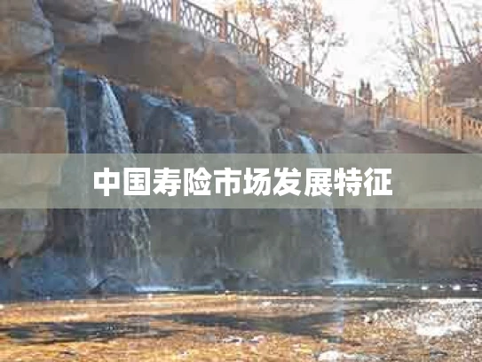 中国寿险市场发展特征
