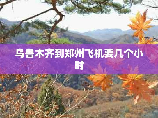 乌鲁木齐到郑州飞机要几个小时