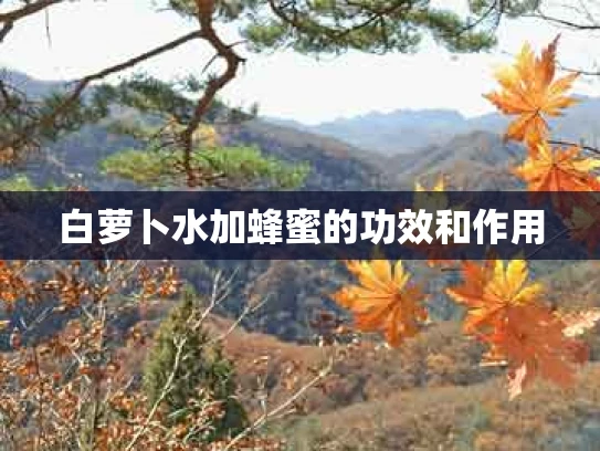 白萝卜水加蜂蜜的功效和作用