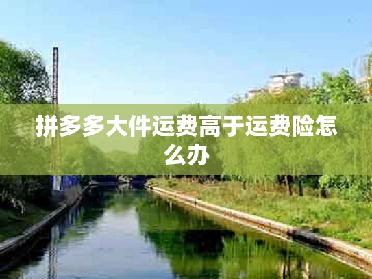 拼多多大件运费高于运费险怎么办