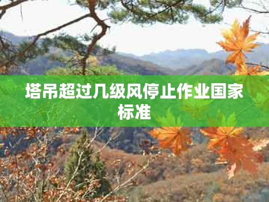 塔吊超过几级风停止作业国家标准