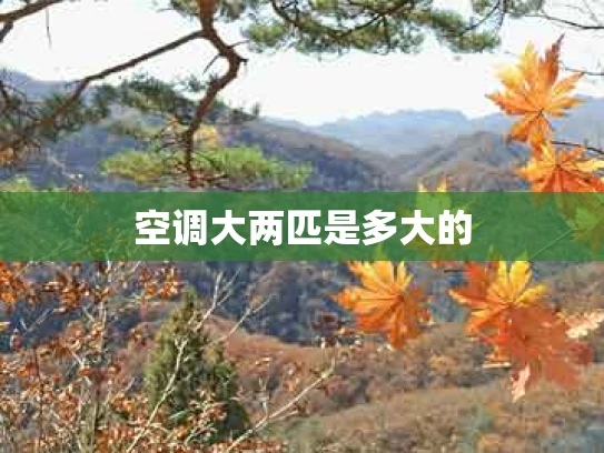 空调大两匹是多大的
