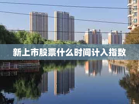新上市股票什么时间计入指数