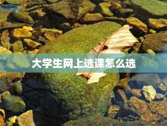 大学生网上选课怎么选