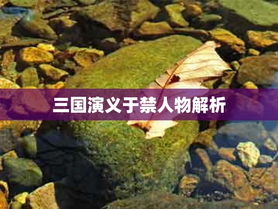 三国演义于禁人物解析